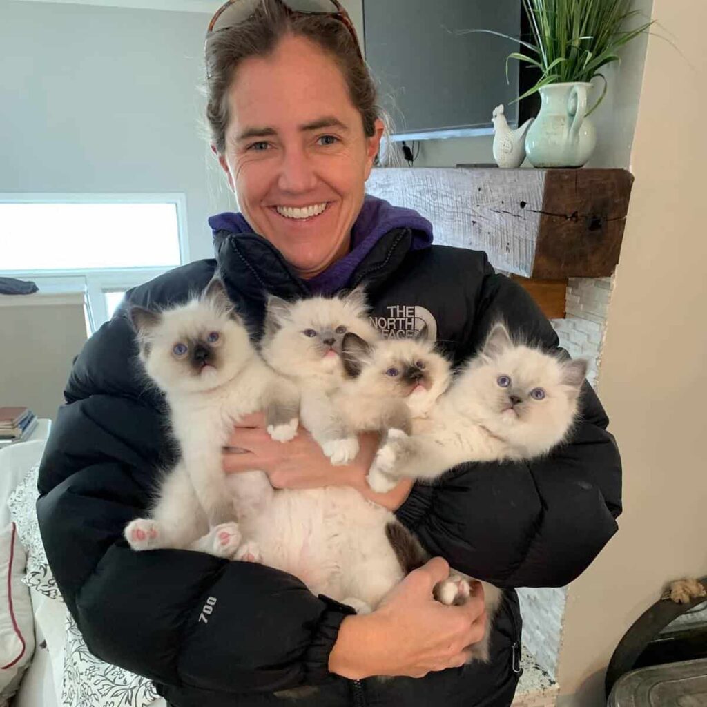 Jenny-Dean-Floppycats-Founder-with-4-Bluedreamer-Ragdoll-Kittens
